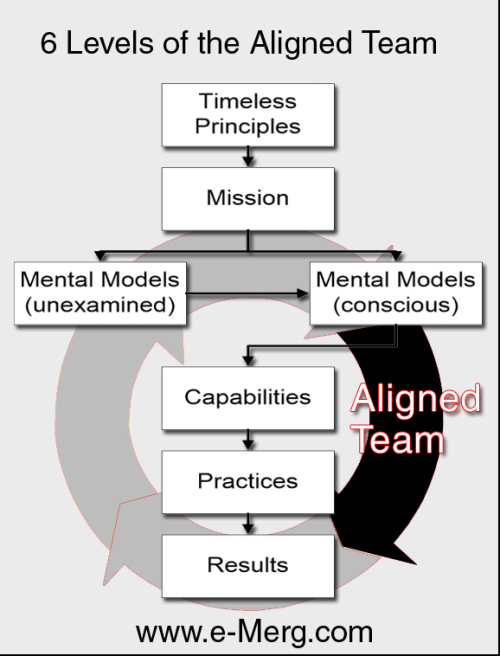 6 Levels of the Aligned Team