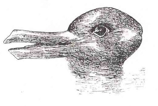 Paradigm Duck/Bunny